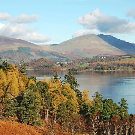 Hedgehog Meadows Waverton (Cumbria)